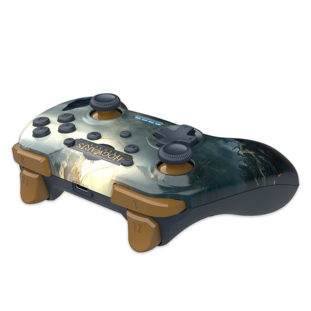 Manette de jeu sans fil édition Harry Potter Hogwarts Legacy Paysage pour Nintendo Switch Manette de jeu sans fil édition Harry Potter Hogwarts Legacy Paysage pour Nintendo Switch