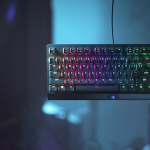 BLACKWIDOW V3 TENKEYLESS - FR BLACKWIDOW V3 TENKEYLESS - FR